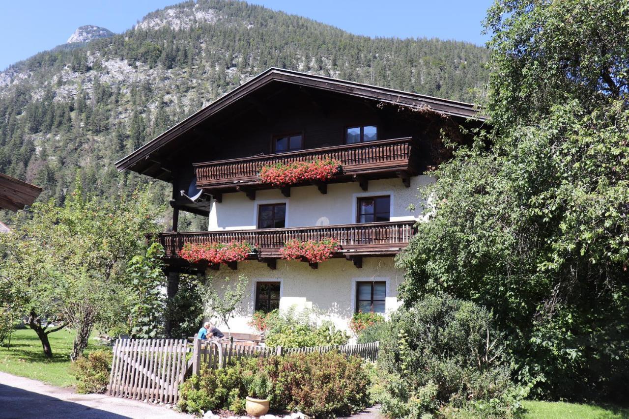 Knippschild Apartment *